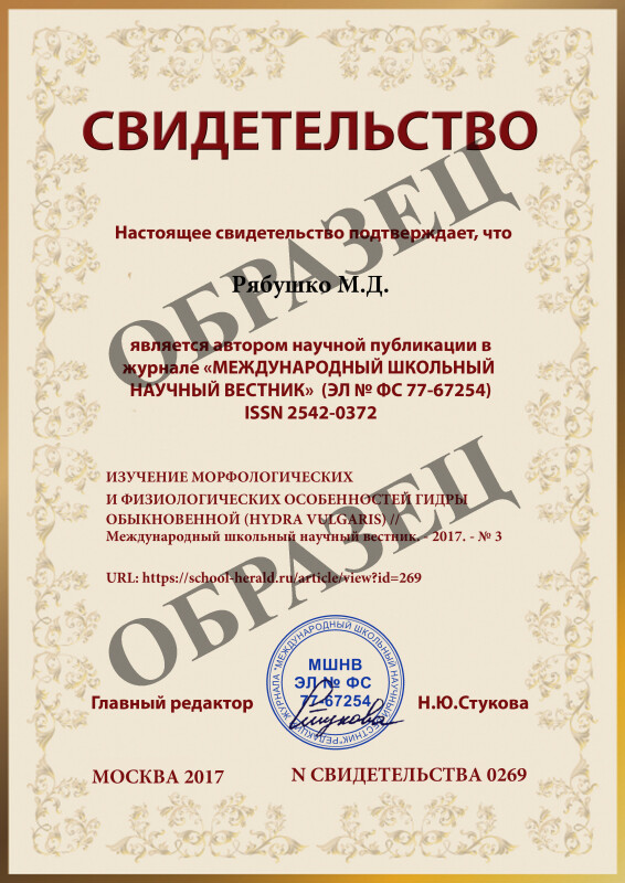 Kraken маркетплейс