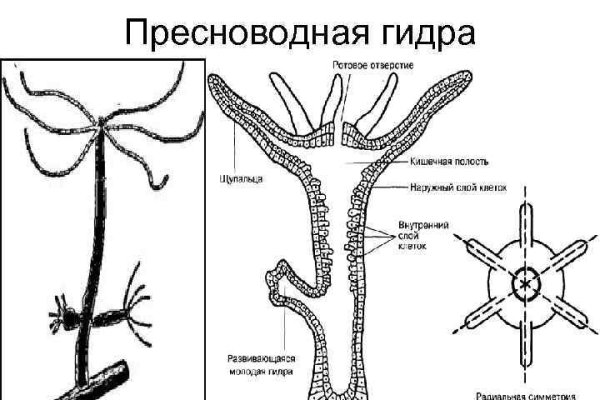 Кракен даркшоп